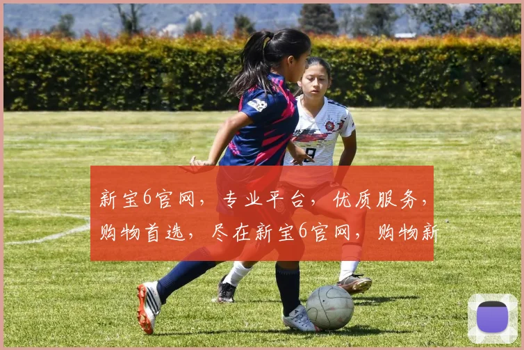 新宝6官网，专业平台，优质服务，购物首选，尽在新宝6官网，购物新体验，惊喜连连