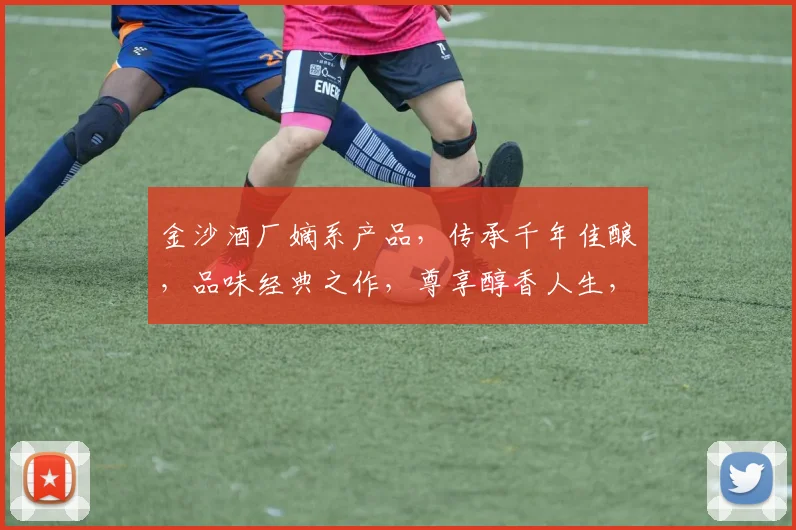 金沙酒厂嫡系产品，传承千年佳酿，品味经典之作，尊享醇香人生，品质之选，尽在金沙。